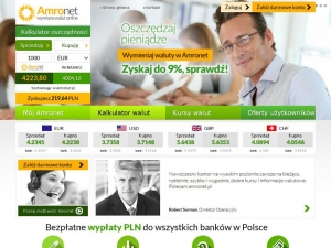 Profesjonalne usługi internetowego kantoru walut